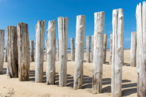 Wooden posts in Holland overlooking the sea Wooden posts in Holland overlooking the sea